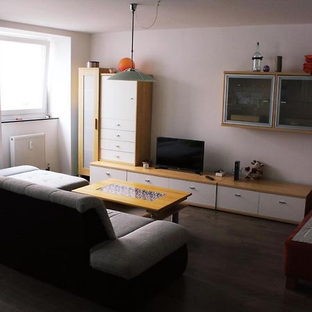 Full Flat 3 Bedrooms Saarbrucken Center -11 People מראה חיצוני תמונה